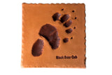 Black Bear Cub
