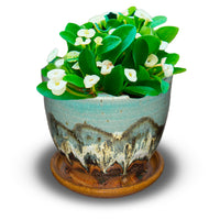 Small 5 inch succulent planter in beautiful turquoise and brown glaze colors. Handmade pottery by Prairie Fire Pottery. Hand made in the United States.  This view is with the pot holding a flowering plant.