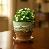 Planter with Drip Tray